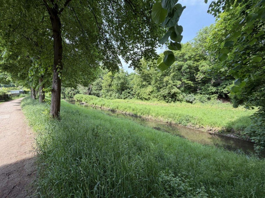 Park - hinterm Haus Erdgeschosswohnung D�sseldorf