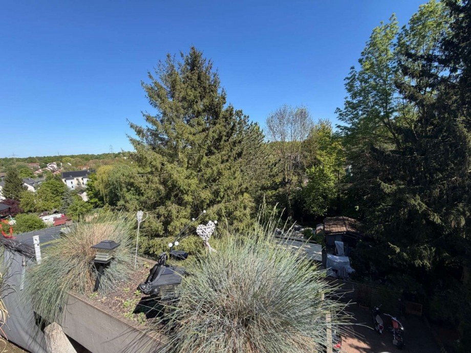 Ausblick Dachgeschosswohnung Essen