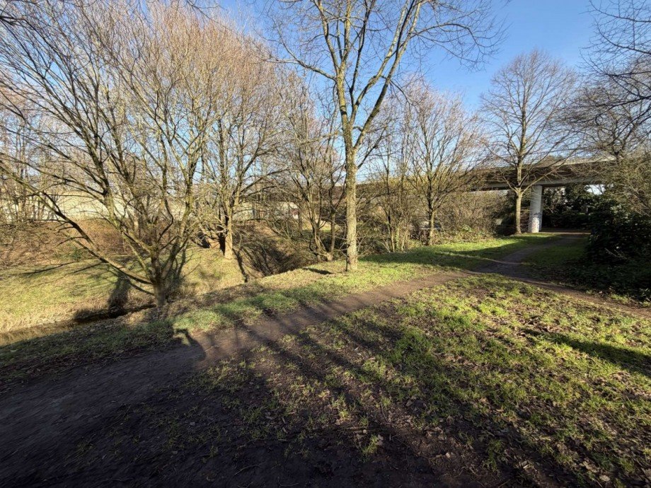 Park - hinterm Haus Dachgeschosswohnung D�sseldorf