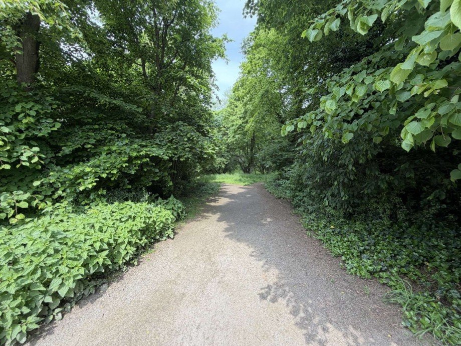 Park - hinterm Haus Erdgeschosswohnung D�sseldorf
