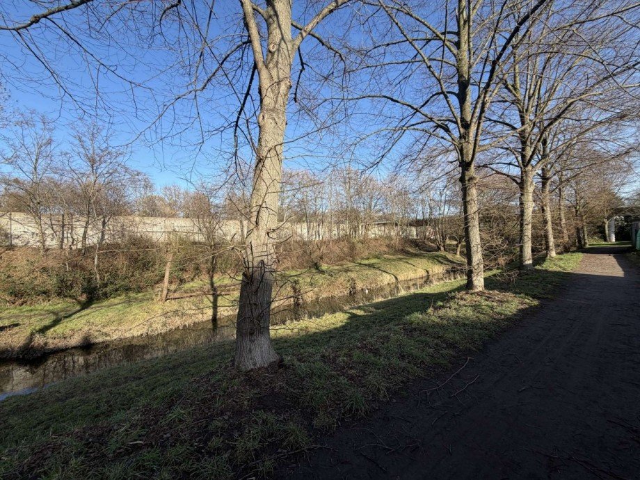 Park - hinterm Haus Dachgeschosswohnung D�sseldorf