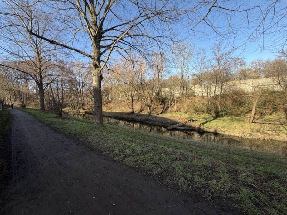 Park - hinterm Haus Dachgeschosswohnung D�sseldorf