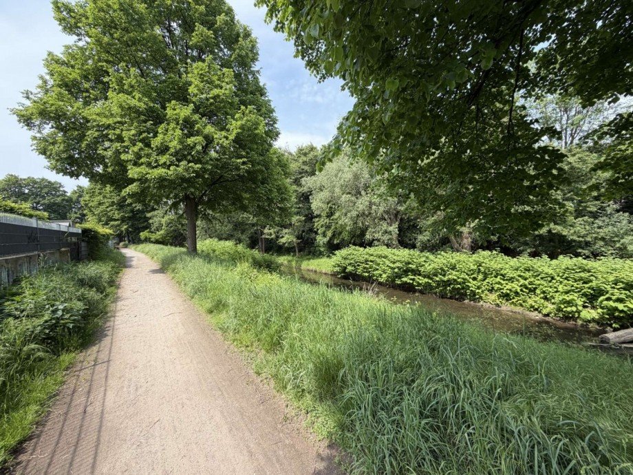 Park - hinterm Haus Dachgeschosswohnung D�sseldorf