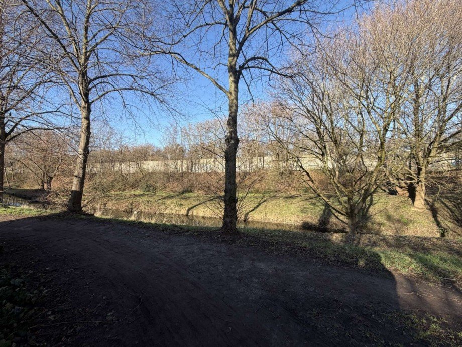 Park - hinterm Haus Dachgeschosswohnung D�sseldorf